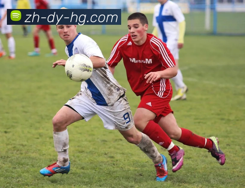 皇冠体育官网品牌故事